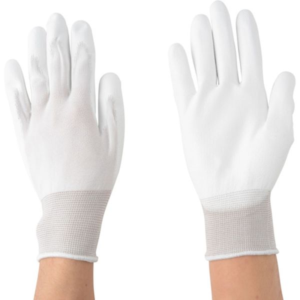 854-8508  ピッタリ倶楽部L (10双入)