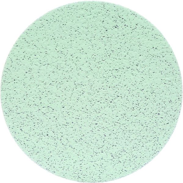 フッキット トライザクトフィニッシングディスク 76mm ＃3000 15