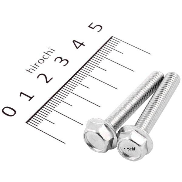 フランジ六角ボルトセット 汎用 M6x35mm ステンレス 2本入り