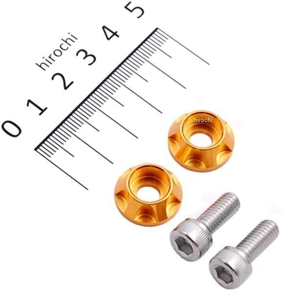 ナンバープレートホルダーセット NASAタイプ 2個入り ゴールド