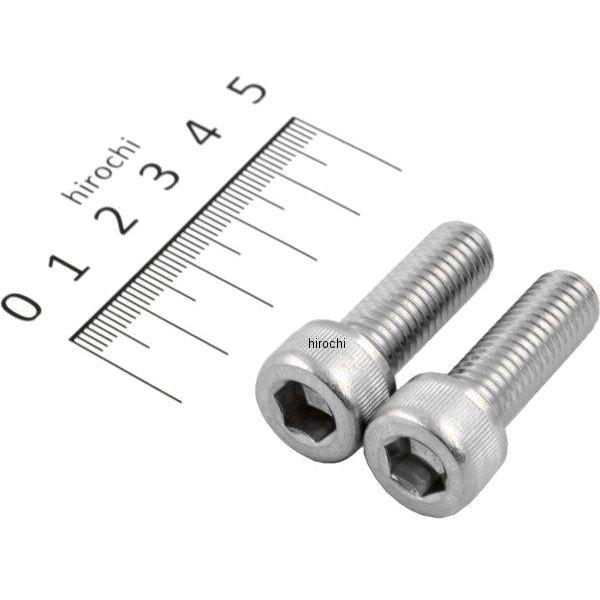 キャップボルトセット 汎用 M10x30mm P-1.5 ステンレス 2本入り