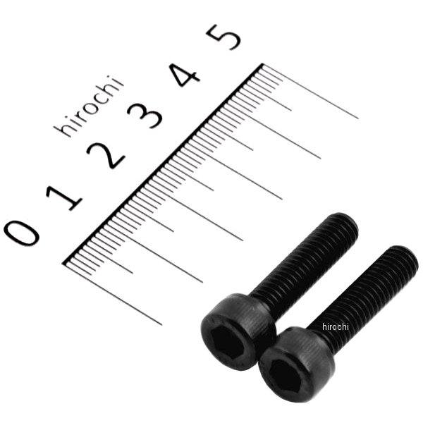 キャップボルトセット 汎用 M6x25mm ステンレス 2本入り 黒