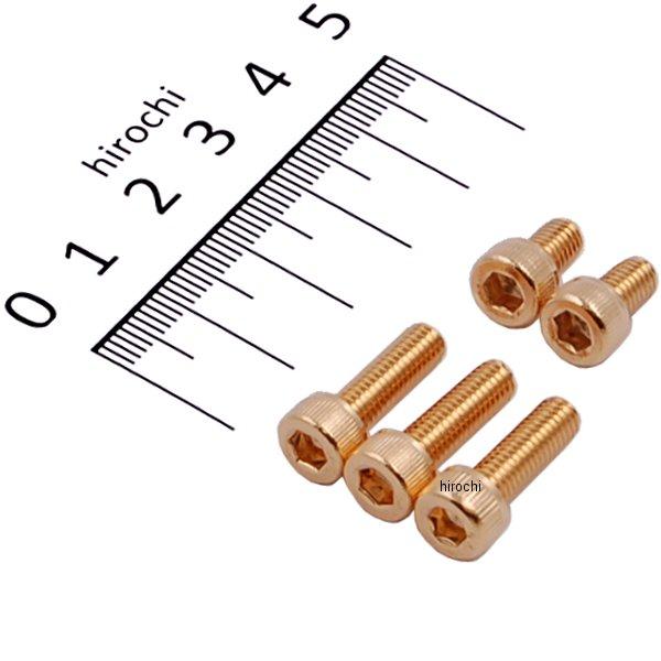 24Kメッキ ステンレス タンクキャップカバーボルトセット 06年-08年 ZZR1400、ZRX1200DAEG M5x8mm