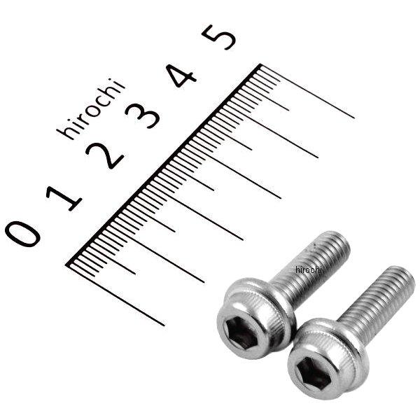 フランジキャップボルトセット 汎用 M6x20mm ステンレス 2本入り