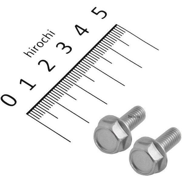 フランジ六角ボルトセット 汎用 M6x15mm ステンレス 2本入り