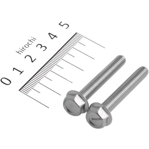 フランジ六角ボルトセット 汎用 M6x40mm ステンレス 2本入り