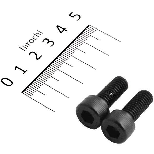 キャップボルトセット 汎用 M8x20mm ステンレス 2本入り 黒
