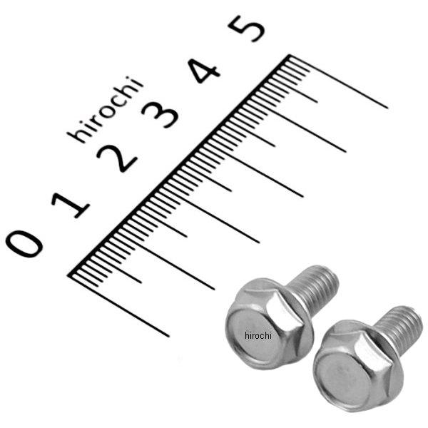 フランジ六角ボルトセット 汎用 M6x12mm ステンレス 2本入り