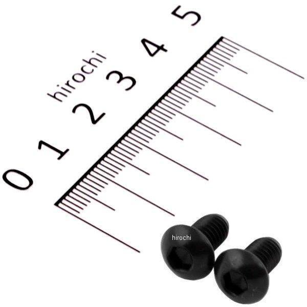 ボタンキャップボルトセット 汎用 M6x10mm ステンレス 2本入り 黒