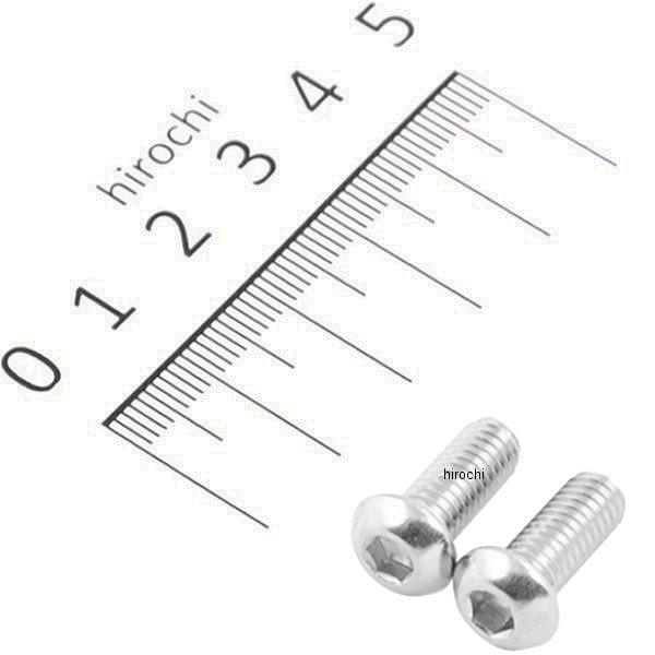 ボタンキャップボルトセット 汎用 M6x15mm ステンレス 2本入り
