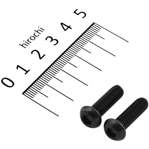 ボタンキャップボルトセット 汎用 M6x20mm ステンレス 2本入り 黒