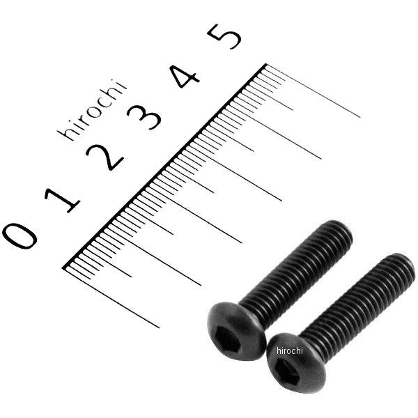ボタンキャップボルトセット 汎用 M6x25mm ステンレス 2本入り 黒
