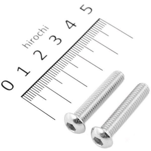 ボタンキャップボルトセット 汎用 M6x30mm ステンレス 2本入り