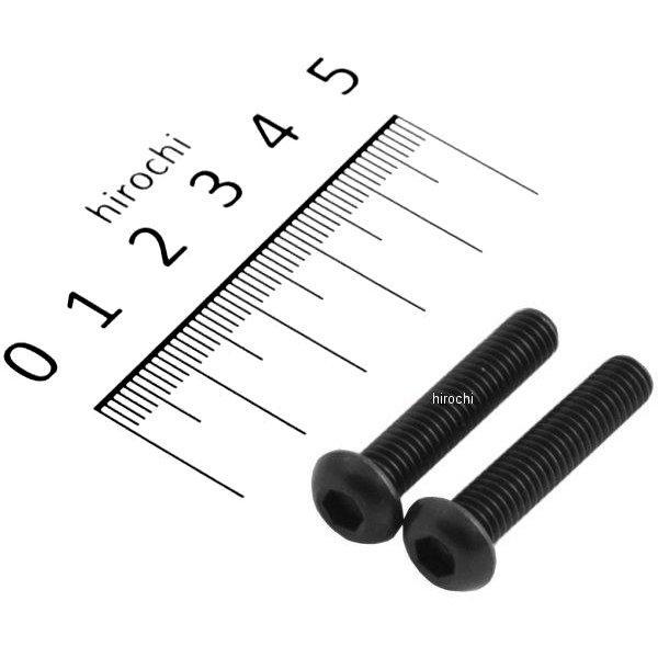 ボタンキャップボルトセット 汎用 M6x30 ステンレス 2本入り 黒