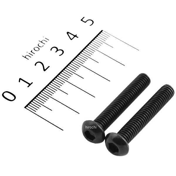 ボタンキャップボルトセット 汎用 M6x35mm ステンレス 2本入り 黒