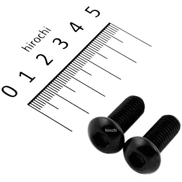 ボタンキャップボルトセット 汎用 M8x20mm ステンレス 2本入り 黒