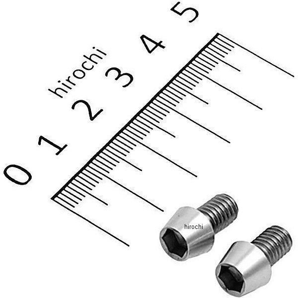 テーパーキャップボルトセット 汎用 M6x10mm ステンレス 2本入り
