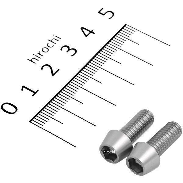 テーパーキャップボルトセット 汎用 M6x15mm ステンレス 2本入り