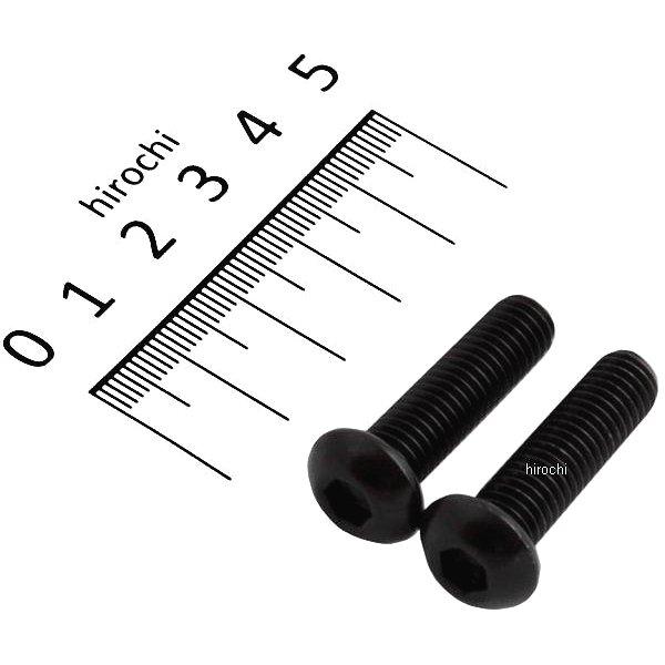 ボタンキャップボルトセット 汎用 M8x30mm ステンレス 2本入り 黒
