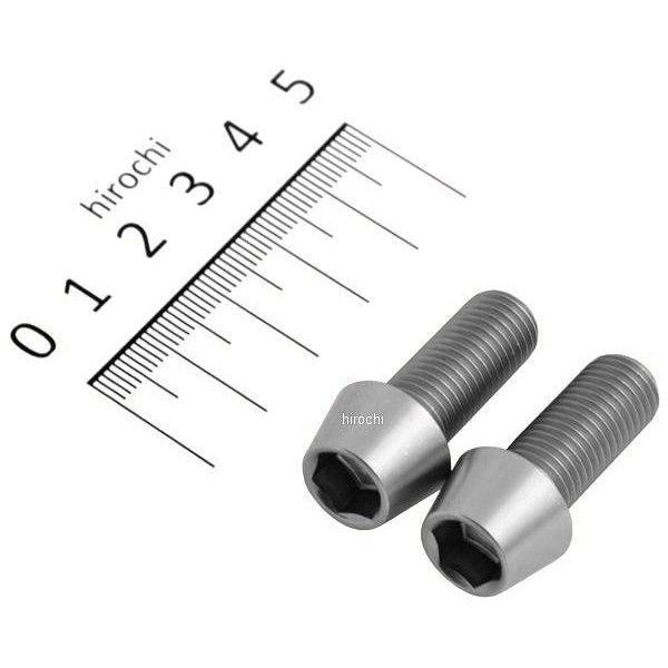テーパーキャップボルトセット 汎用 M10x25mm P1.25 ステンレス 2本入り