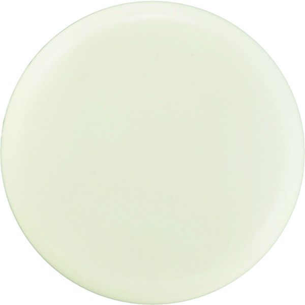 167-1753 カラーマグネット(ボタン型タイプ) 白 マグネ30(1/白) 30mmΦ 10個組