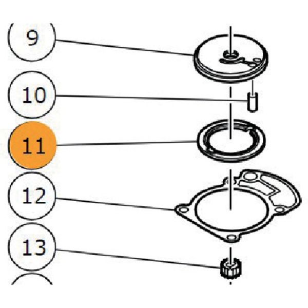 657-0186  パツキン(C)