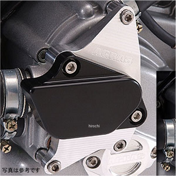 レーシングスライダー ウォーターポンプ モンスターS4R 黒