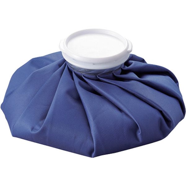 259-0691  アイスバッグ 氷のう 1100ml