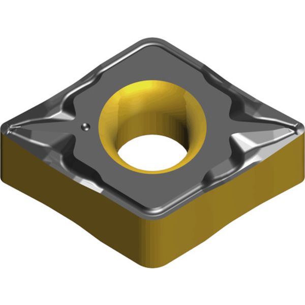 090404FLPTT8125B  ライノXターン：チップ 10個入り