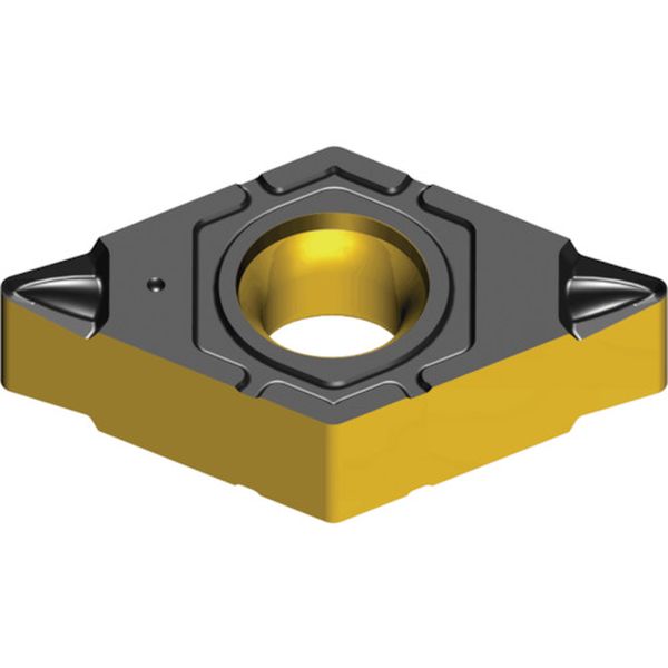 080308FGPTT8125B  ライノMターン：チップ 10個入り