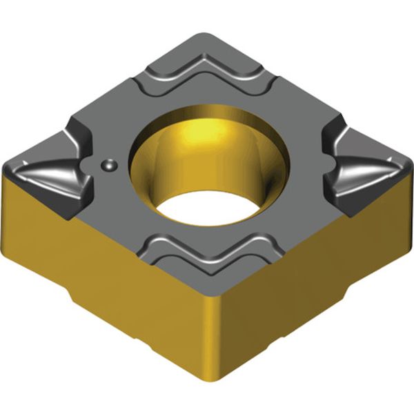 070304FGPTT3020  ライノMターン：チップ 10個入り