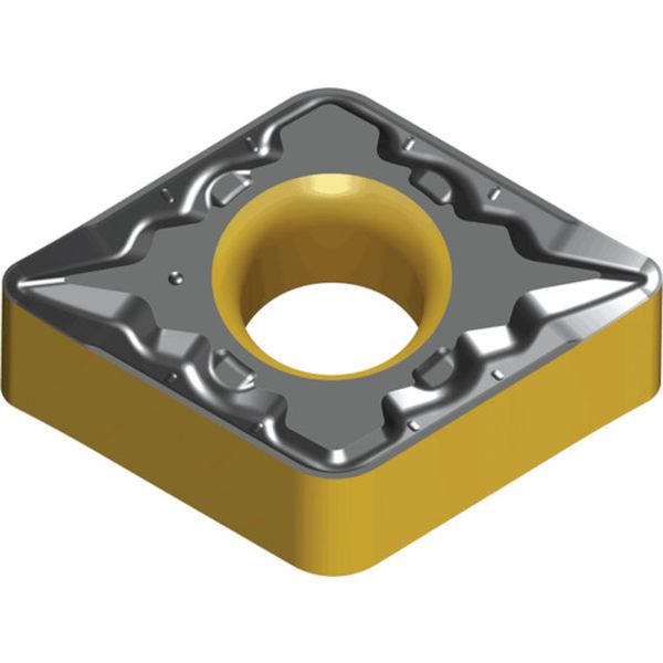 110508FGPTT8115B  ライノXターン：チップ 10個入り