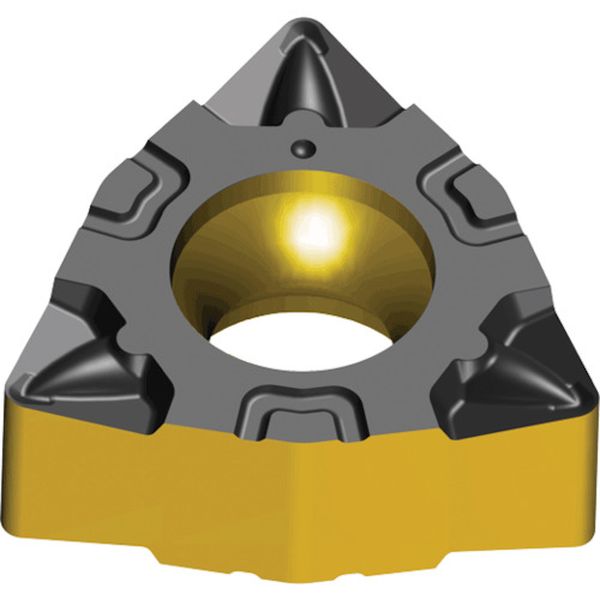 040308FGPTT5080  ライノMターン：チップ 10個入り