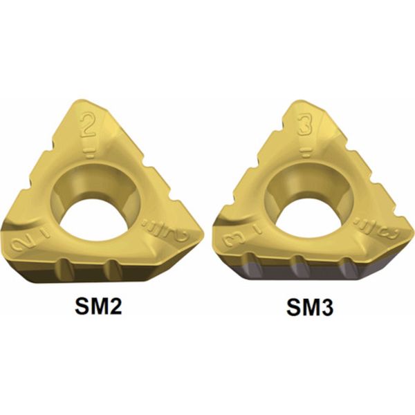 150508RSM2TT8080  ミルラッシュ：チップ 10個入り