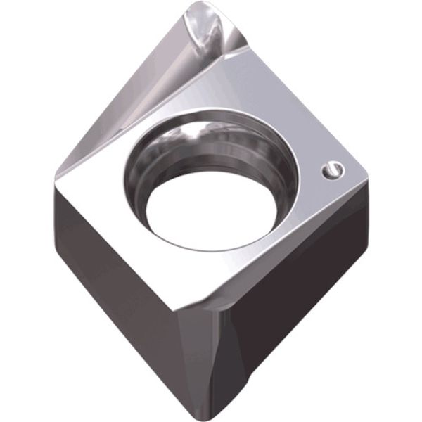 060304RALK10  チェイス4ミル：チップ 10個入り