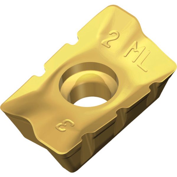 1705PERSMLTT9080  チェイスミル：チップ 10個入り