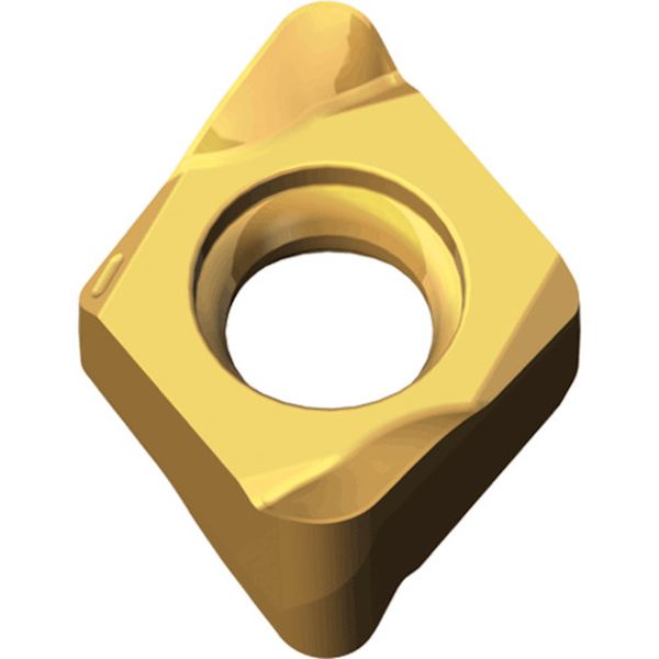 060305RFTT9080  チェイス4ミル：チップ 10個入り