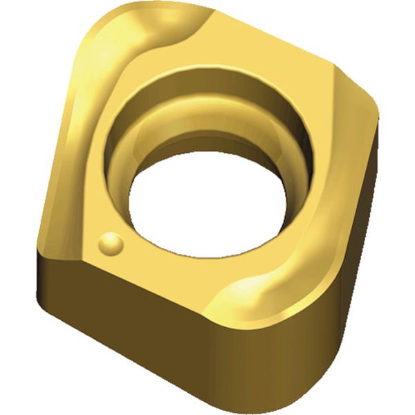 060320RHFTT2510  チェイス4ミル：チップ 10個入り