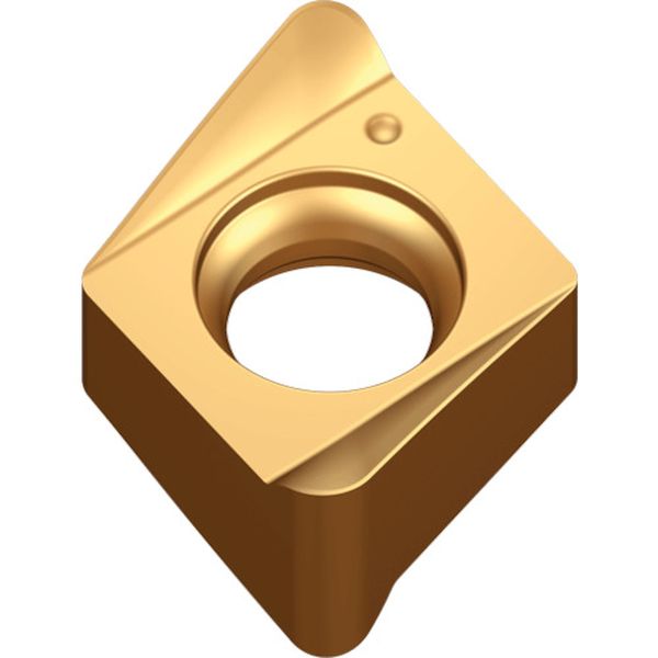 060312RMLTT9080  チェイス4ミル：チップ 10個入り