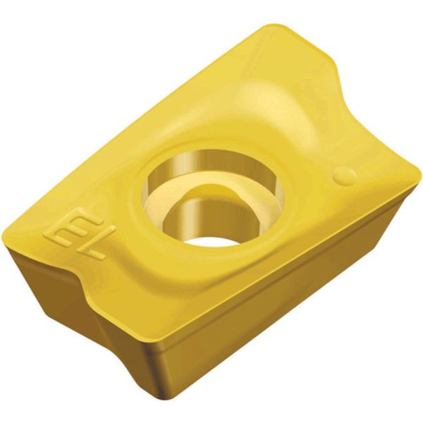 1705PERELTT9080  チェイスミル：チップ 10個入り