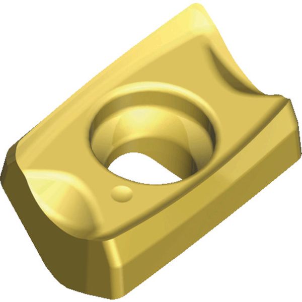 0502PNRMTT9080  ミルスフィード：チップ 10個入り