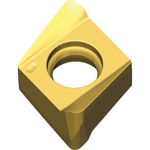 090404RMLTT9080  チェイス4ミル：チップ 10個入り