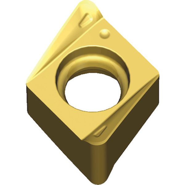 040208RMTT6080  チェイス4ミル：チップ 10個入り