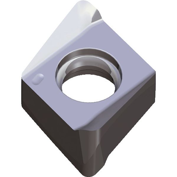 110608RALK10  チェイス4ミル：チップ 10個入り