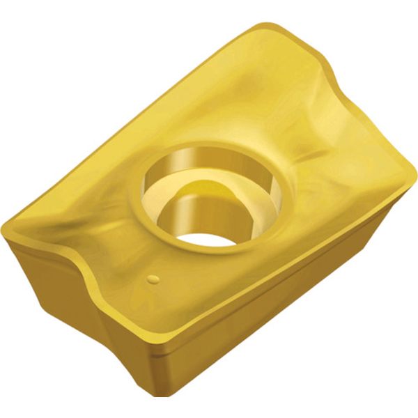 170510REMTT9080  チェイスミル：チップ 10個入り