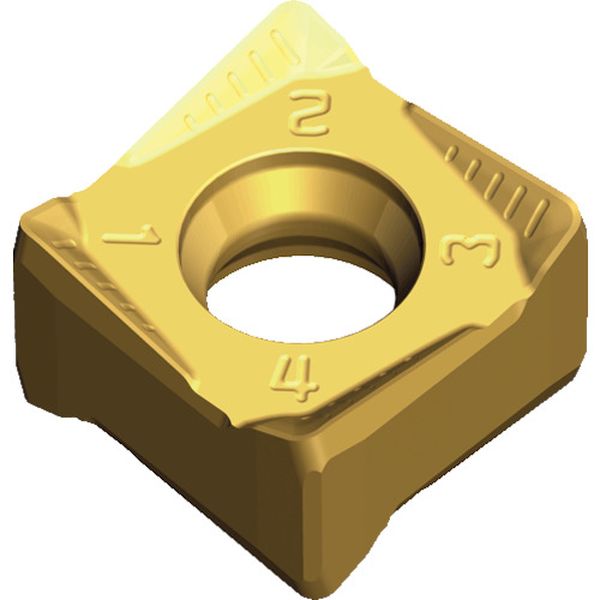 120608PNRMMTT6080  チェイス8ミル：チップ 10個入り