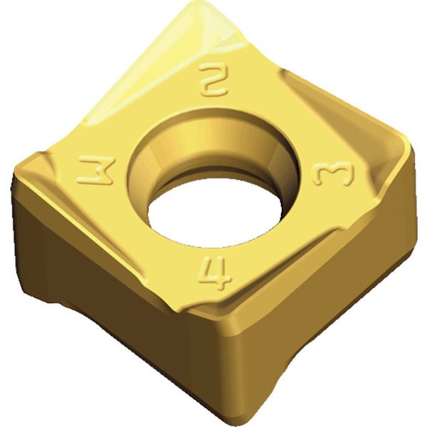 120608PNRMTT6080  チェイス8ミル：チップ 10個入り