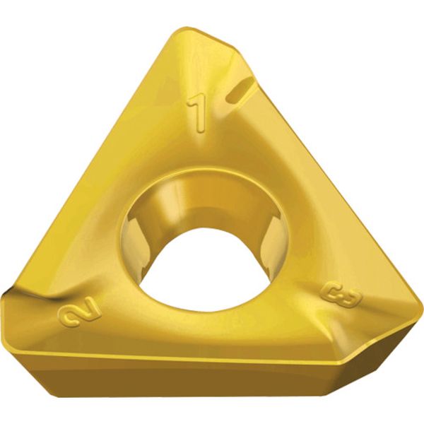 100408RMTT8080  ミルラッシュ：チップ 10個入り