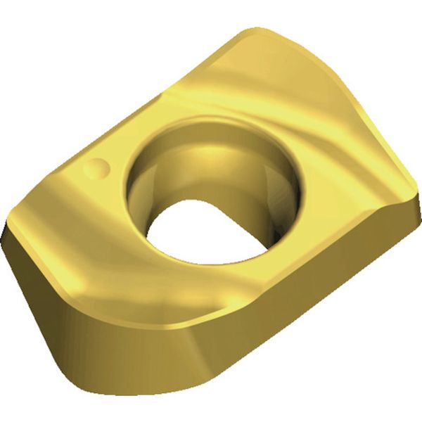 0502RHFTT9080  ミルスフィード：チップ 10個入り