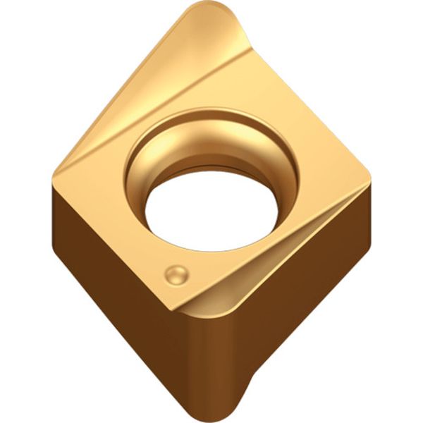 060316RMTT9080  チェイス4ミル：チップ 10個入り